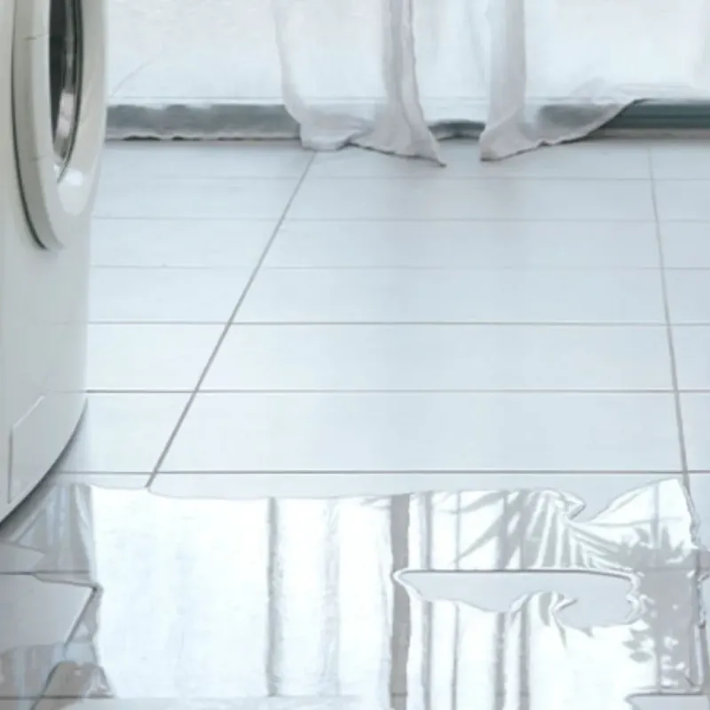 Appliance Leak Cleanup in Falfurrias, TX